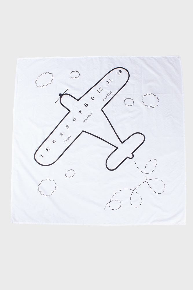 airplane milestone blanket