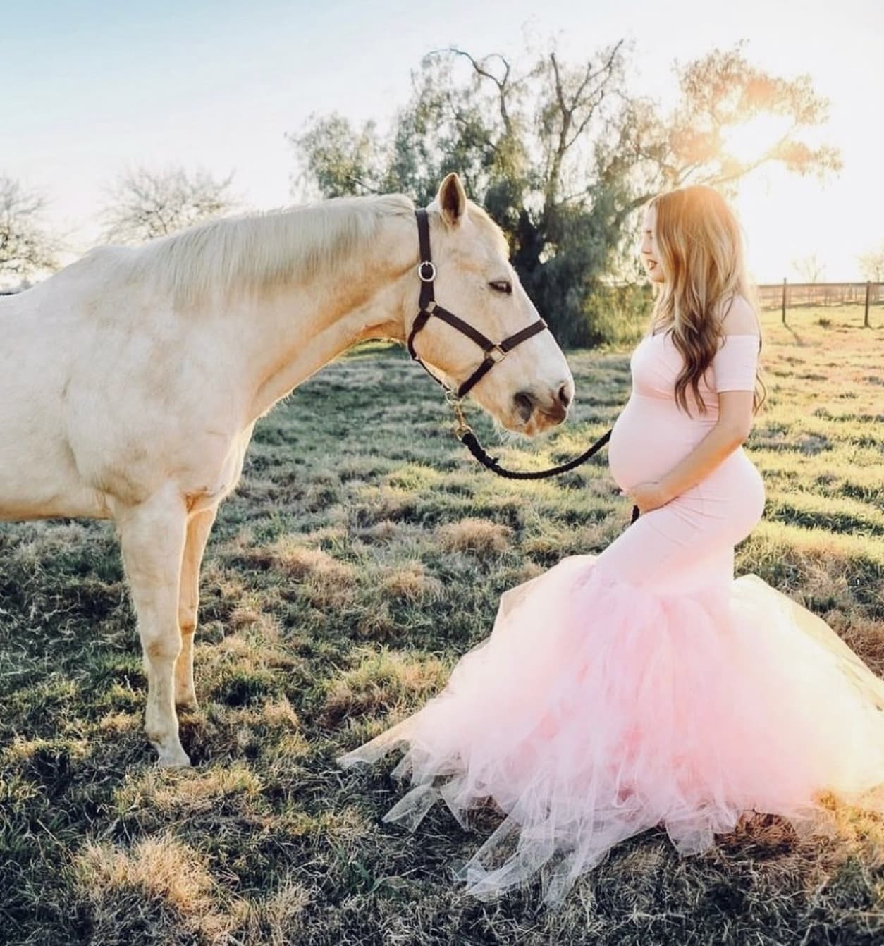 Off the Shoulder Sweetheart Tulle Maternity Gown in Pink Blush
